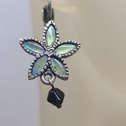 STAR STUDDED GENUINE AND RARE ABALONE 