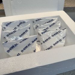 Ice Packs 