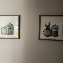 Succulent plant painting