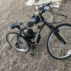 Roadmaster Gas Powered Bike 