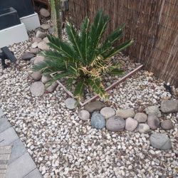 refresh your landscape