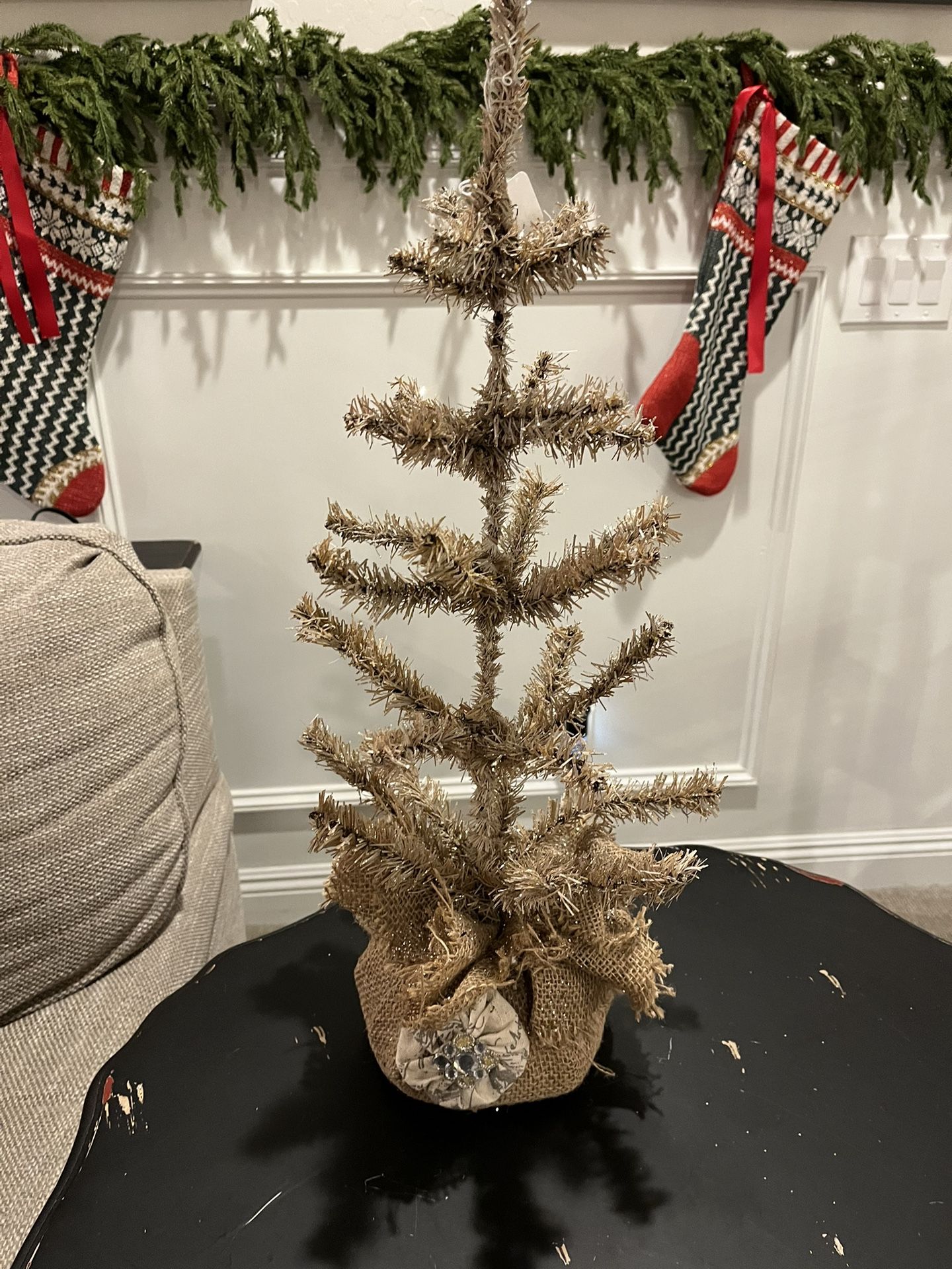 Adorable Gold Stick Tree 2’ Tall