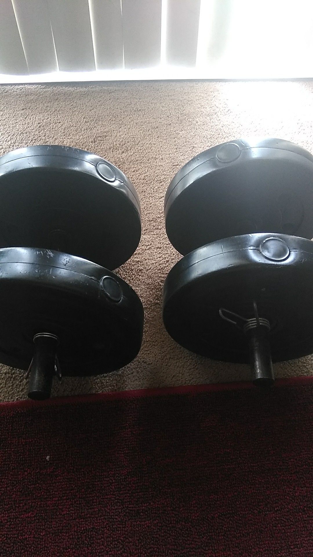 Two 20 pound dumbbells