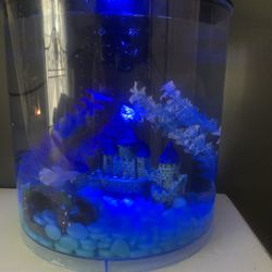 LED Fish Tank 