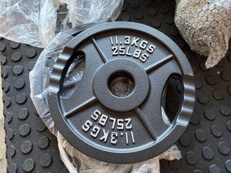 25lb plate pair