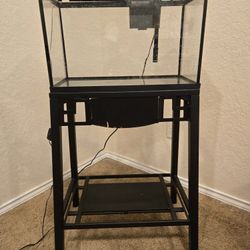 10 Gallon Fish Tank