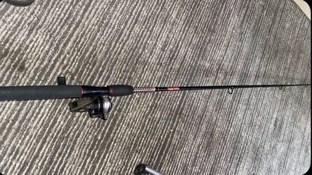 Ugly stick with Shakespeare reel