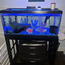 45 Gallon Fresh Water Aquarium Full Tank Setup