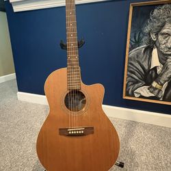 Seagull Electric Acoustic Guitar