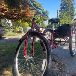 Free adult tricycle 