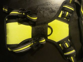 Harness For Small Dog