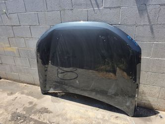 Hood q6 sq6 audi 2025 2026