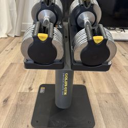 Gold's Gym Switch Plate 100-Pound Adjustable Dumbbell Set & Stand