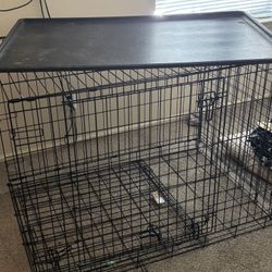 Dog kennel 
