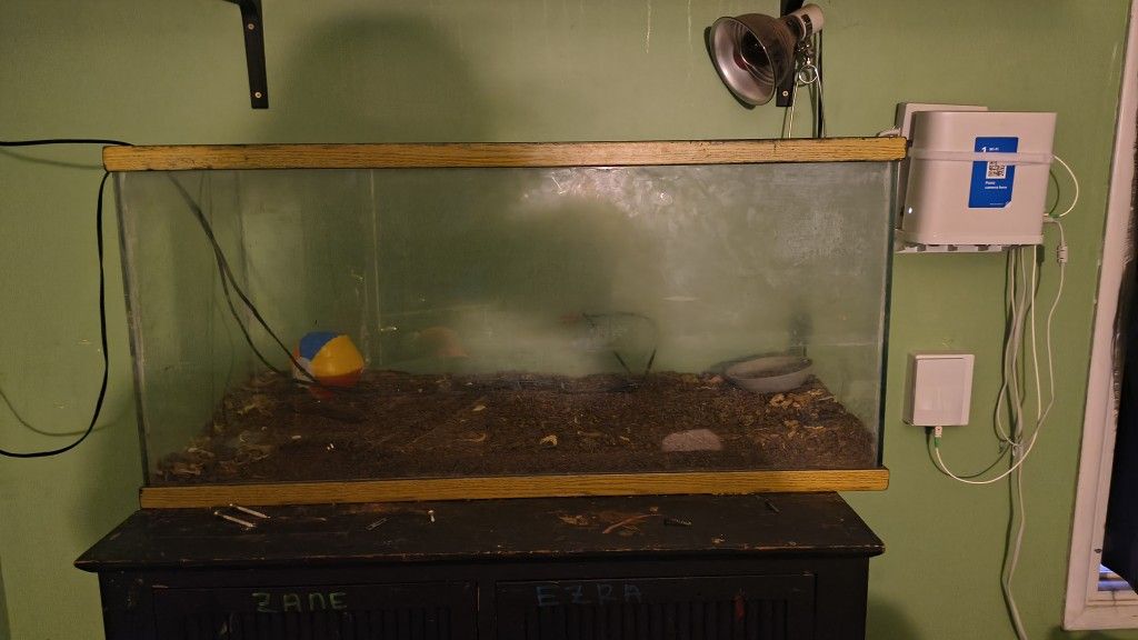 Fish/ Turtle Tank