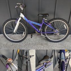 Trek 220 24" 21-Speed Gravel/Mountain/Road Hybrid Bike - Light 12" Frame - NEW Tubes/Newer Tires - Tuned! (Youth/Kids Bike)