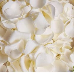 Dried Real White Rose Petals, Freeze Preserved Flower Petals 1.75oz for Valentine's Day Gifts Wedding Party Decor,