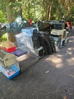 Cages for sale