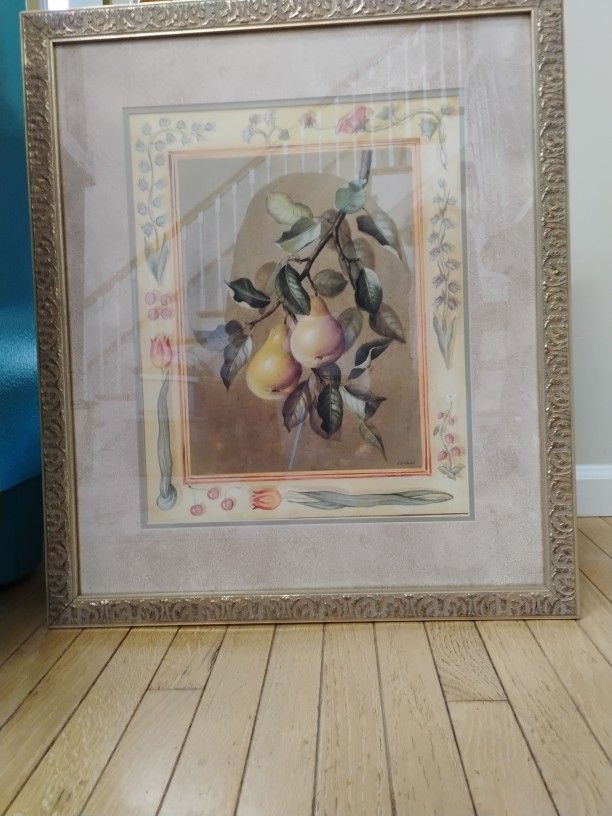 Beautiful Hanging Fruit Print Framed With Glass