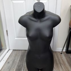 Plastic Body Mannequin 12pieces