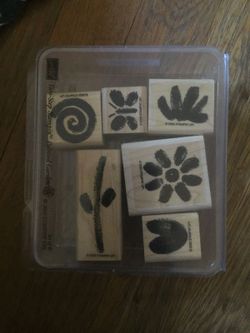 Stampin up Painted Garden
