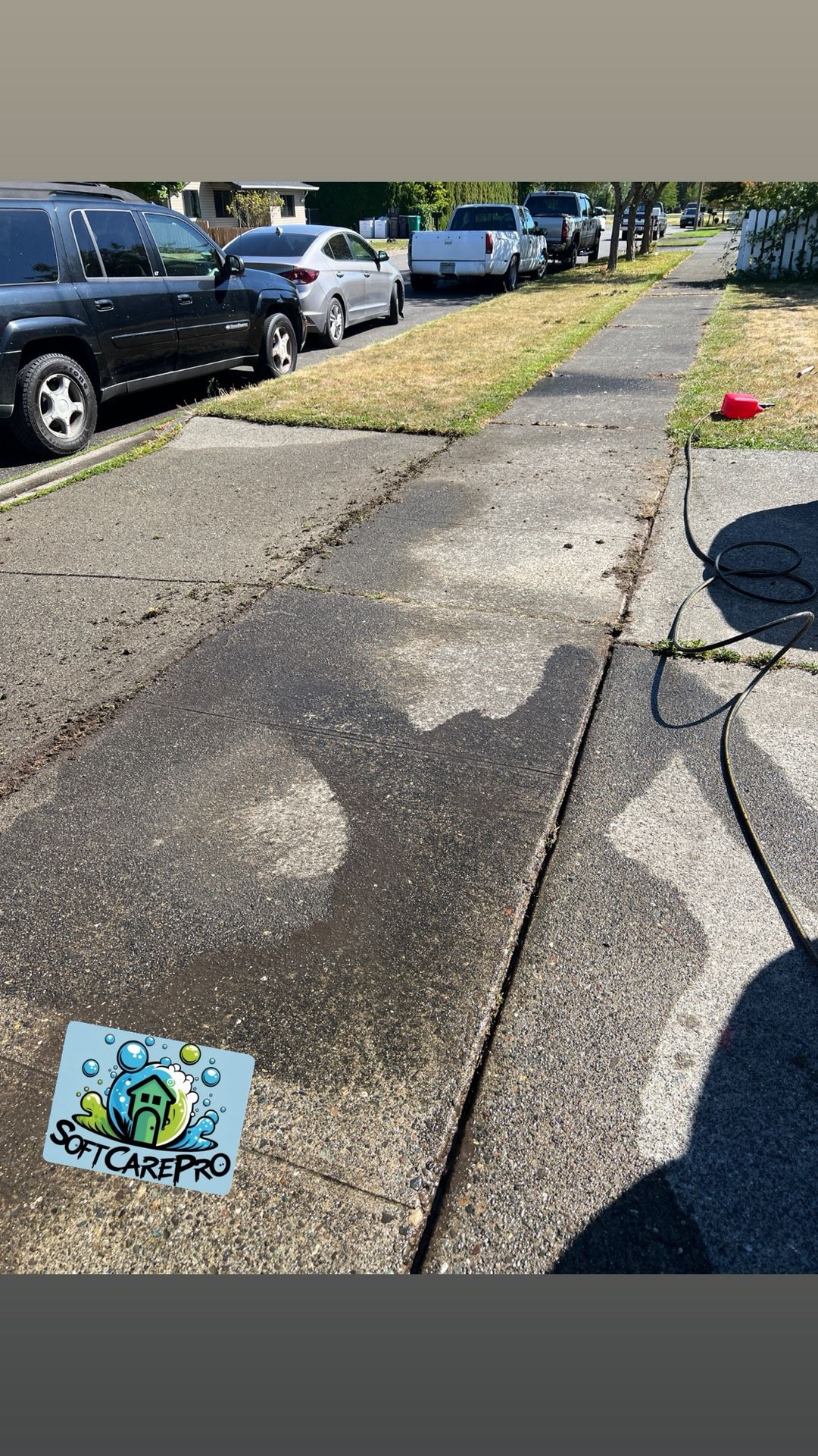 Driveway Cleaning