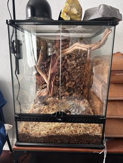 Exo Terra frog terrarium and extras!