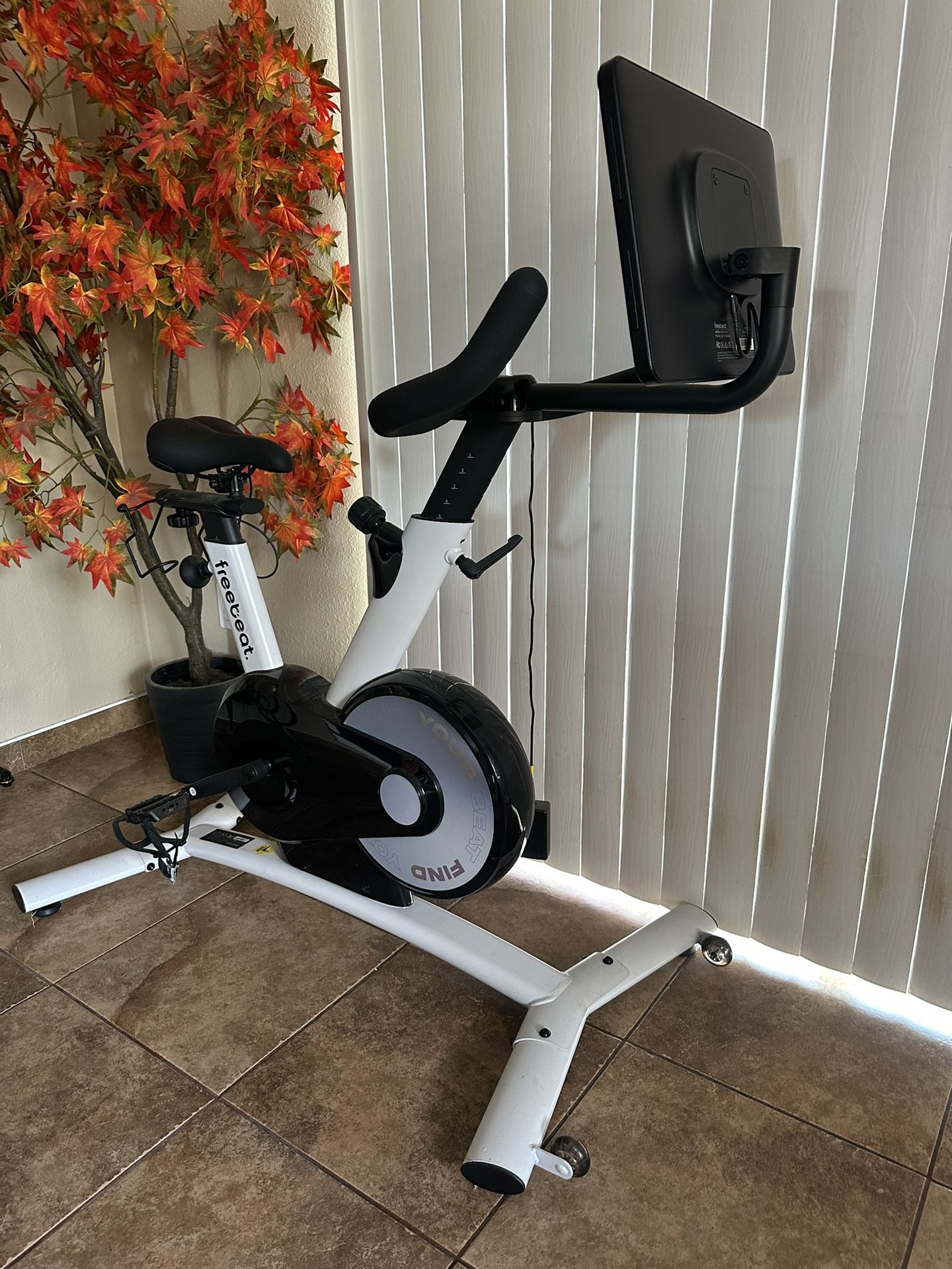 Exercise Bike