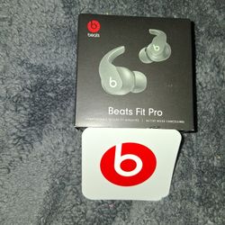 BEATS  EARBUDS