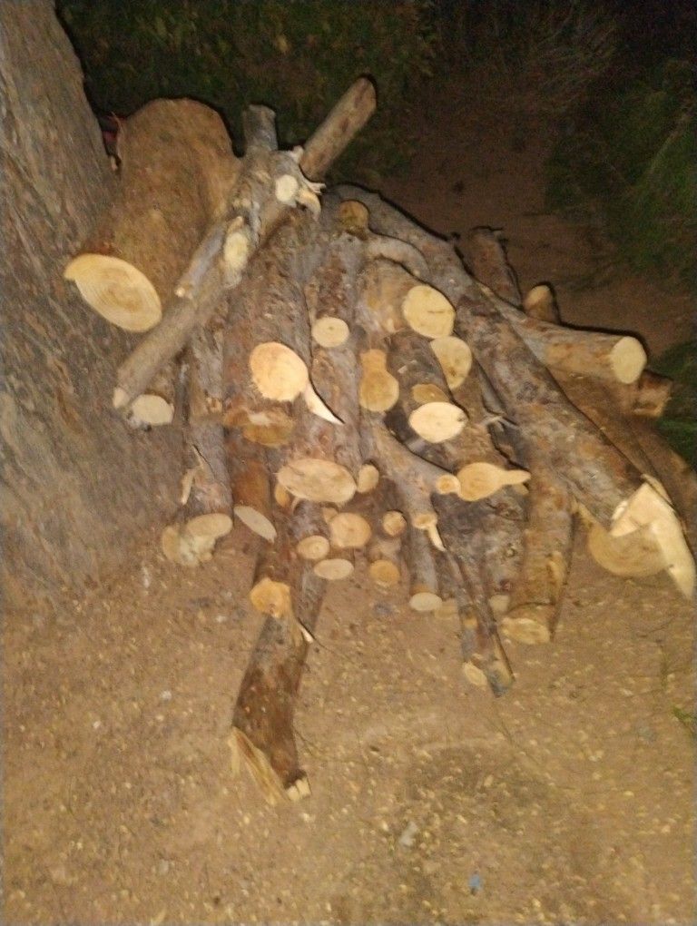 Free Wood