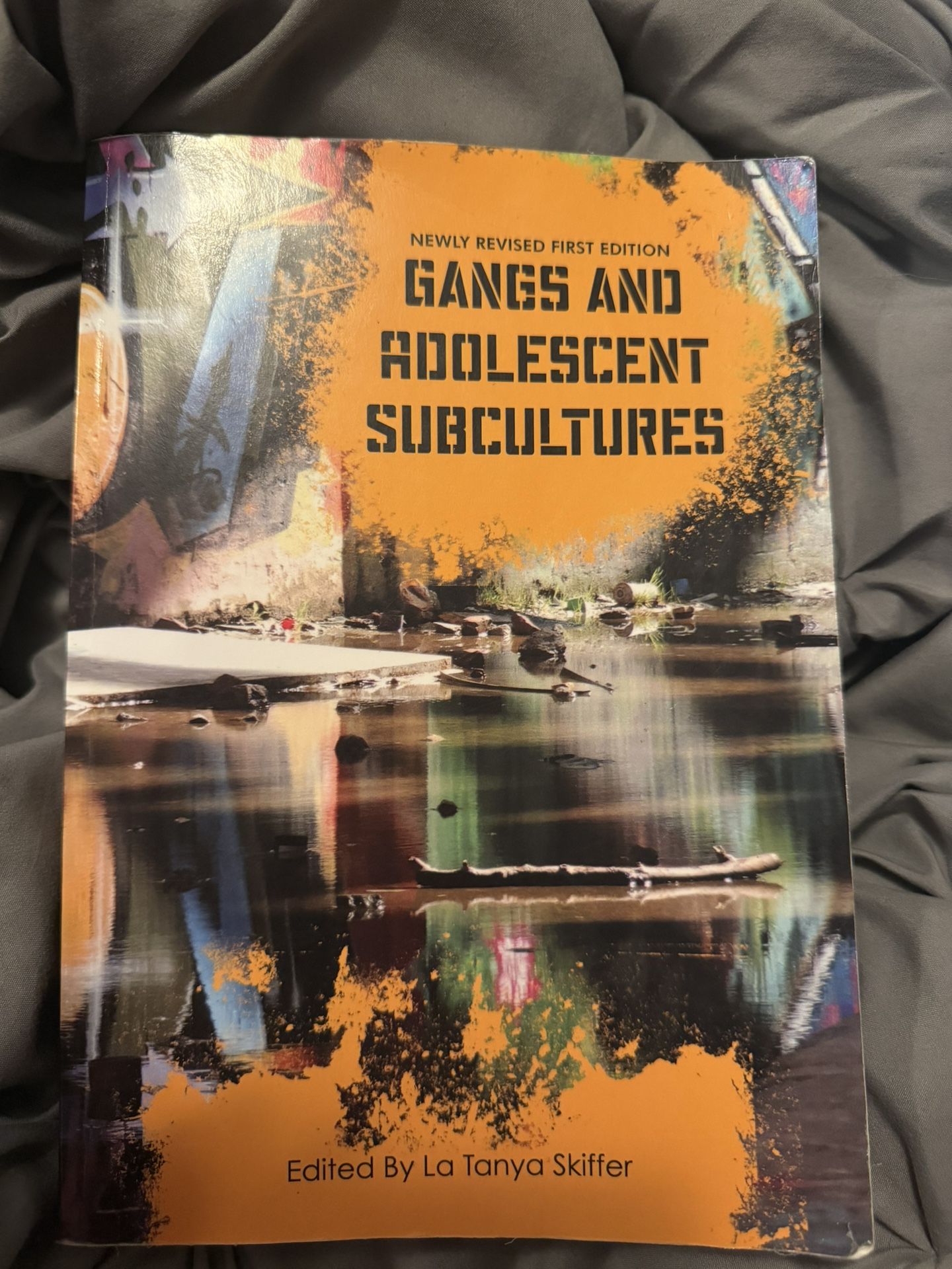 Gangs and Adolescent Subcultures by La Tanya Skiffer