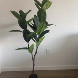 Faux Plant 