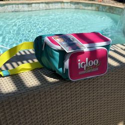 Igloo Fanny Pack
