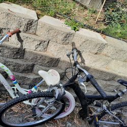 Las 2 Bicicletas Por 20