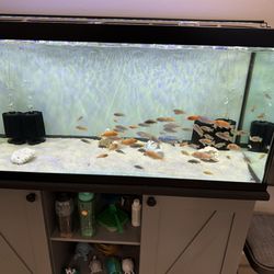 75 Gallon Fish Tank Complete Set Up 