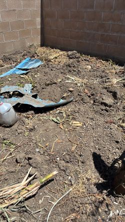 Free soil. Tierra gratis