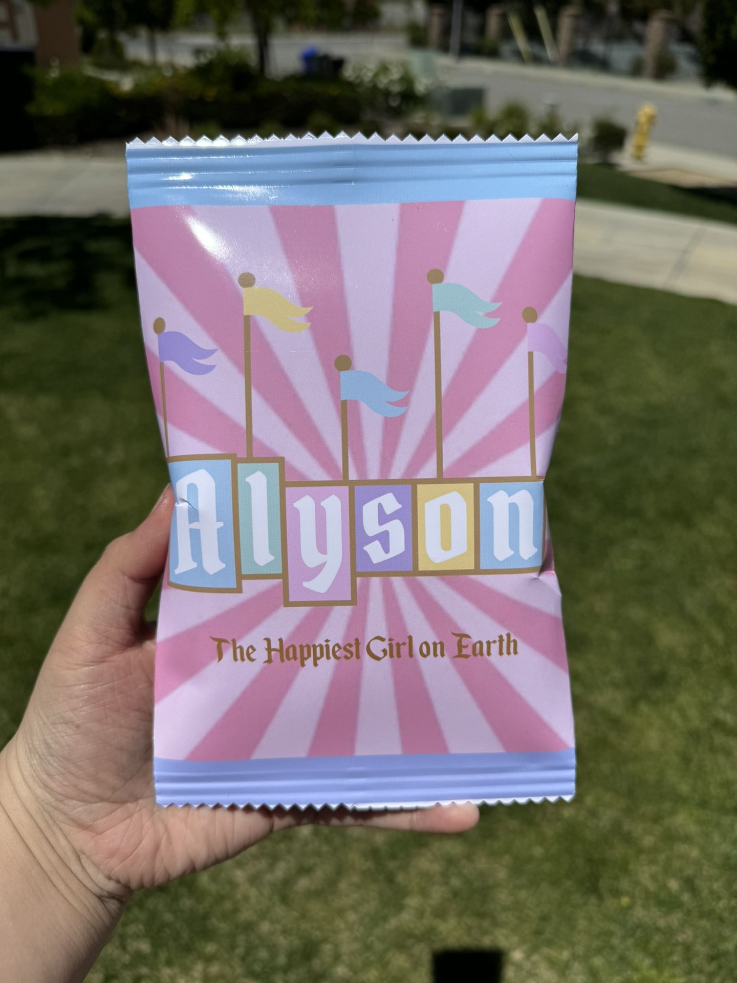 Vintage Disneyland Party Favors | Disneyland Chip Bags