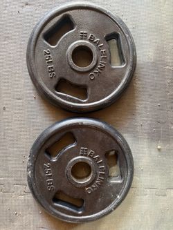 Olympic Weights (25lb)