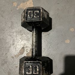 30 Pounds Single Dumbbell 💪 