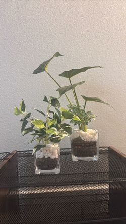 Set of 2 fake plants