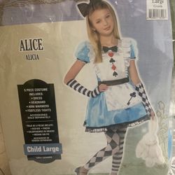 Alice Halloween Costume 