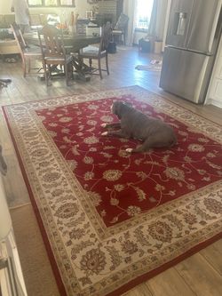 8x10 rug