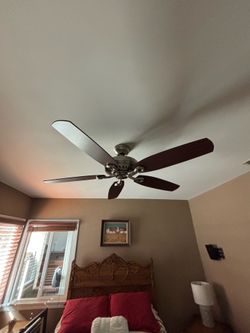 Ceiling fan