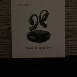 Earphones