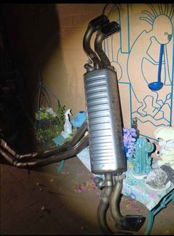 muffler with tips $1000 OBO