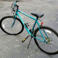 Vintage 1995 26' Roadmaster Chromium Edition Clean 