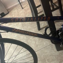 Specialized Brand Bicycle