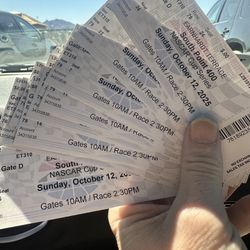 NASCAR Dale Earnhardt Terrace High Row $35 