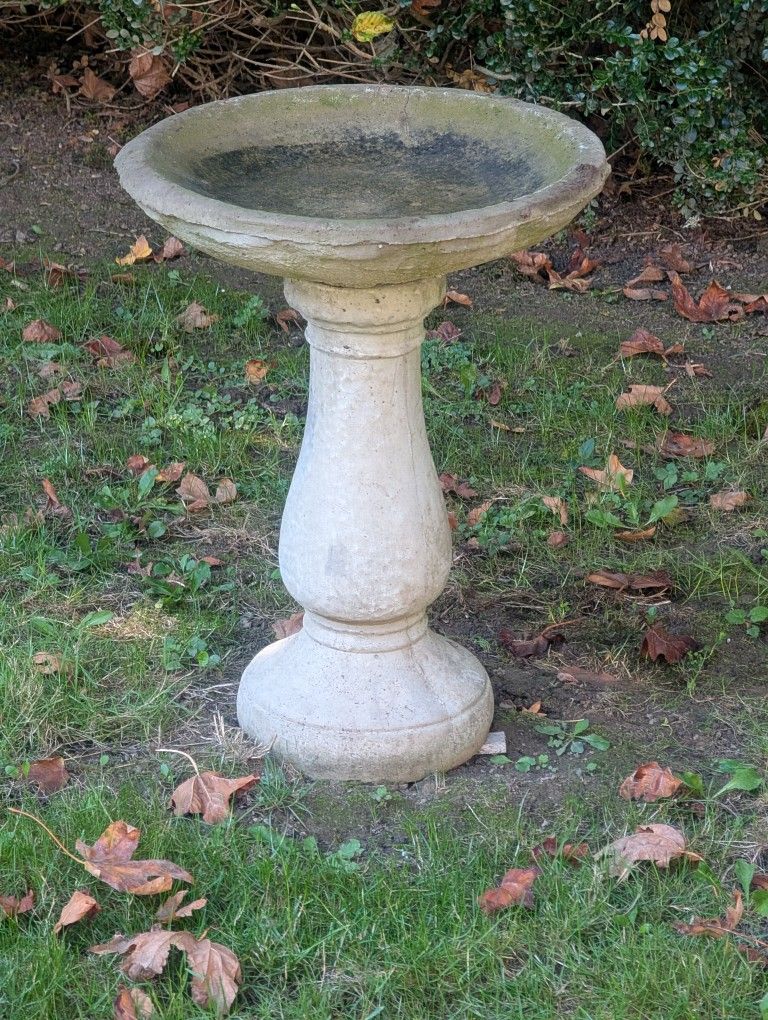 Cement Bird Bath