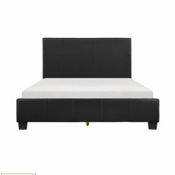 Full size beds two of them